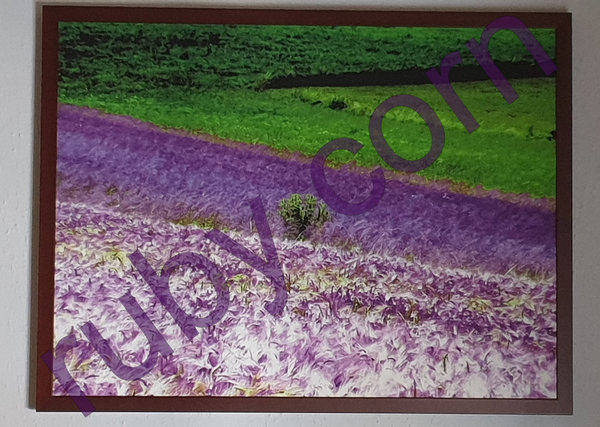 Wandbild Leinwand HARMONIE Landschaft Fotokunst Rahmen 80x60cm